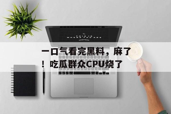 一口气看完黑料，麻了！吃瓜群众CPU烧了